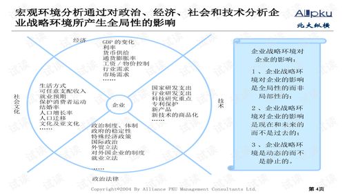 永大集团房地产行业分析报告 精品创业书模板.ppt